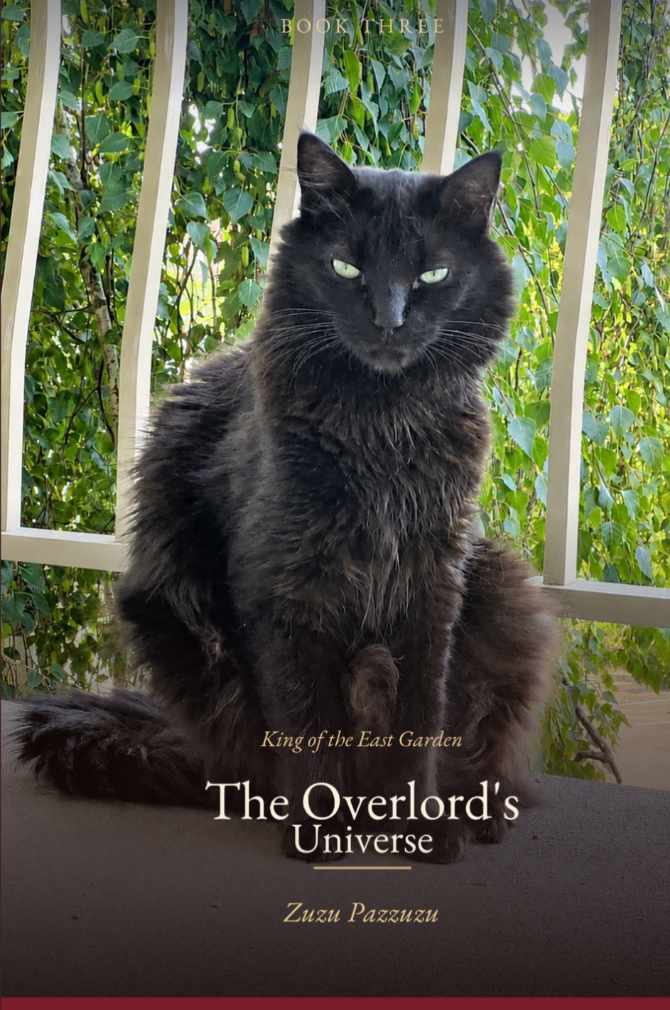 Book Three cover