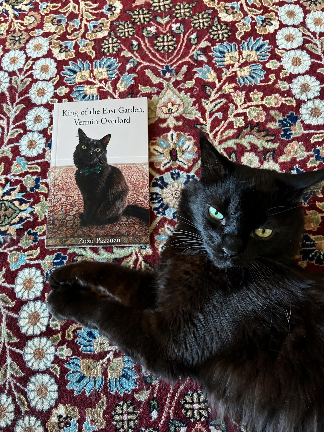 Zuzu Pazzuzu reclining beside a paperback copy of King of the East Garden, Vermin Overlord.